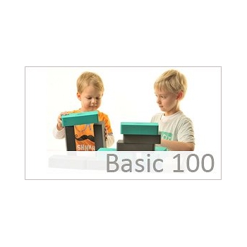 Basic 100