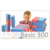 Basic 300